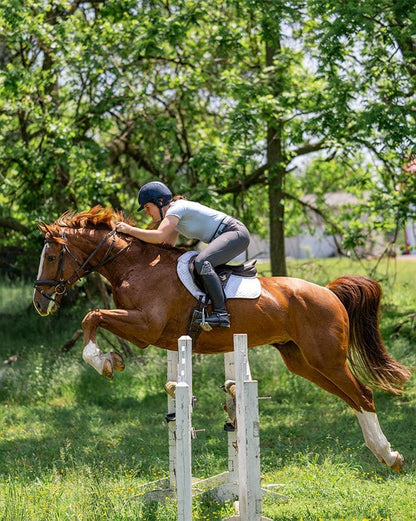 Equestly Women's Shirt Equestly- Lux Seamless Top SS Costal equestrian team apparel online tack store mobile tack store custom farm apparel custom show stable clothing equestrian lifestyle horse show clothing riding clothes horses equestrian tack store